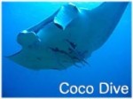 Coco Dive (����������)