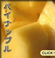 �ѥ��ʥåץ�