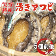 ŷγ褭ӡ500g | ϤΤ󤻥⡼jp