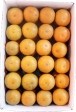 タンカン 5kg箱 秀品 S玉・約50個入 | 日本全国各地のお取り寄せモール風土jp