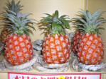 ピーチパイン1玉 | 日本全国各地の名産品やお土産のお取り寄せモール 風土jp