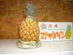 ʥåѥ󾮶̡500g600 | ϤΤ󤻥⡼jp