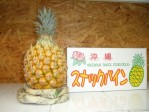 ʥåѥ̡1kg | ϤΤ󤻥⡼jp