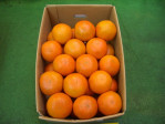 ご家庭用「あまさん」3kg | 日本全国各地の名産品やお土産のお取り寄せモール 風土jp