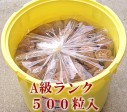 産地直送 紀州産南高梅 とってもすっぱい贅沢な大人買い 大粒梅 3LA【10kg約500粒入】 | 日本全国各地のお取り寄せモール風土jp