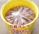 産地直送 紀州産南高梅 とってもすっぱい贅沢な大人買い 大粒梅 3LB【10kg約500粒入】 | 日本全国各地のお取り寄せモール風土jp