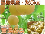 福島県産かやば梨(豊水)5kg箱(13〜18玉入) | 日本全国各地のお取り寄せモール風土jp