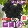 【福島県産】種なし巨峰 送料無料(お試し2房) | 日本全国各地のお取り寄せモール風土jp