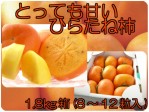 トロトロ甘〜い飯坂産、種なしひらたね柿(1.8kg箱8〜12入)【発送時期:10月中旬〜11月上旬頃まで予定】 | 日本全国各地の名産品やお土産のお取り寄せモール 風土jp