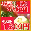 【訳あり】陽光りんご4.5kg箱(品種:陽光 10玉〜25玉入) 【発送時期:10月14日〜11月10日頃まで予定】 | 日本全国各地のお取り寄せモール風土jp