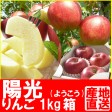 福島県産、陽光1kg箱(4〜5玉入)【発送時期:10月13日頃から10月末頃まで予定】 | 日本全国各地のお取り寄せモール風土jp