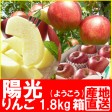 福島県産、陽光1.8kg箱(5〜7玉入)【発送時期:10月13日頃から10月末頃まで予定】 | 日本全国各地のお取り寄せモール風土jp