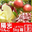 福島県産、陽光5kg箱(13〜18玉入)【発送時期:10月13日頃から10月末頃まで予定】 | 日本全国各地のお取り寄せモール風土jp