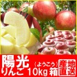 福島県産、陽光10kg箱(26〜36玉入)【発送時期:10月13日頃から10月末頃まで予定】 | 日本全国各地のお取り寄せモール風土jp