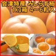 会津特産みしらず柿(1kg箱 4〜6粒入) 【発送時期:11月4日以降〜12月初旬頃まで予定】 | 日本全国各地の名産品やお土産のお取り寄せモール 風土jp
