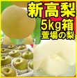【ジャンボな新高梨】福島県かやばの梨(5kg箱7〜13玉入) 【発送時期:10月下旬頃〜11月上旬頃まで予定】 | 日本全国各地のお取り寄せモール風土jp