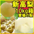 【ジャンボな新高梨】福島県かやばの梨(10kg箱14〜26玉入) 【発送時期:10月下旬頃〜11月上旬頃まで予定】 | 日本全国各地のお取り寄せモール風土jp