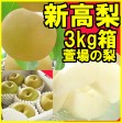 【ジャンボな新高梨】福島県かやばの梨(3kg箱6〜8玉入) 【発送時期:10月下旬頃〜11月上旬頃まで予定】 | 日本全国各地のお取り寄せモール風土jp