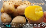 󥸤ǥ󤹤̳ƻۥ󥫤ΤᤶĴѤߡ | ϤΤ󤻥⡼jp