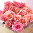色お任せバラの花束２０本 | 日本全国各地の名産品やお土産のお取り寄せモール 風土jp