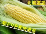 【先行予約販売】生ゴールドラッシュとうもろこし【北海道発】 | 日本全国各地のお取り寄せモール風土jp