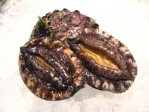 天然蝦夷あわび 5個 【小サイズ】約250g〜約325g | 日本全国各地のお取り寄せモール風土jp