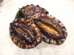 天然蝦夷あわび 5個 【中サイズ】約350g〜約425g | 日本全国各地のお取り寄せモール風土jp