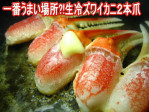 お試し価格 生冷5Lズワイカニ2本爪500g10本前後 北海道発 | 日本全国各地のお取り寄せモール風土jp