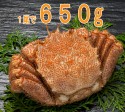 ӳ 1.3kg 650g2ա | ϤΤ󤻥⡼jp