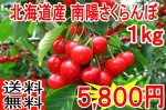 【送料無料 先行予約販売】南陽さくらんぼ【北海道産 バラ詰め】 | 日本全国各地のお取り寄せモール風土jp