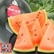 【送料無料】高級ブランドずっしり重い♪大玉でんすけスイカ 【良品】すいか | 日本全国各地のお取り寄せモール風土jp