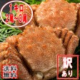 【送料無料・訳あり】毛蟹 1kg 2尾〜3尾 | 日本全国各地のお取り寄せモール風土jp