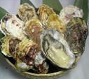 「送料無料」リアスビックワンLサイズ60個 | 日本全国各地のお取り寄せモール風土jp