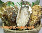 ꥢӥḁ̊ġʤ | ϤΤ󤻥⡼jp