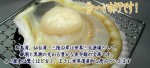 宮城三陸産殻付きホタテ(2Lサイズ:特大)1枚 | 日本全国各地のお取り寄せモール風土jp