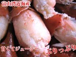 ڵŻ۹Ȥ襤ˤΤ 500g | ϤΤ󤻥⡼jp