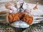 【富山湾産】香箱/甲箱がに(ズワイガニの雌がに) 約150g×10パイ【生】 | 日本全国各地のお取り寄せモール風土jp