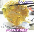 シロエビかき揚げ(手揚げ)80g前後×10個入+α:つゆ1本付 | 日本全国各地のお取り寄せモール風土jp