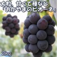 ڲۤޥԥ 2kg | ϤΤ󤻥⡼jp