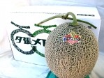 初セリより即お届け!夕張市農協厳選審査 「共選」適合【良品】夕張メロン糖度10%以上 中玉(約1.34Kg)1玉 | 日本全国各地のお取り寄せモール風土jp