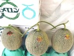 初セリより即お届け!夕張市農協厳選審査「共選」適合【良品】夕張メロン糖度10%以上 大玉(約1.6Kg)3玉 | 日本全国各地のお取り寄せモール風土jp