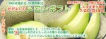 マスク美人メロン・2玉セット | 日本全国各地のお取り寄せモール風土jp