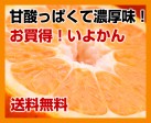 いよかん(伊予柑)10kg | 日本全国各地のお取り寄せモール風土jp