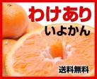 わけありいよかん(伊予柑)10kg | 日本全国各地のお取り寄せモール風土jp