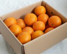 特選清見オレンジ 4kg | 日本全国各地のお取り寄せモール風土jp