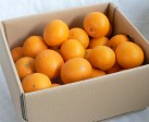 特選清見オレンジ 8kg | 日本全国各地のお取り寄せモール風土jp