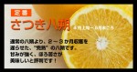 さつき八朔 5kg | 日本全国各地のお取り寄せモール風土jp