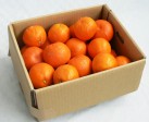 セミノール 5kg | 日本全国各地のお取り寄せモール風土jp
