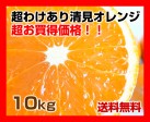 【和歌山産】超わけあり清見オレンジ 10kg | 日本全国各地のお取り寄せモール風土jp