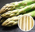 北海道産 L〜2Lグリーンアスパラ1kg | 日本全国各地のお取り寄せモール風土jp